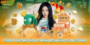 HO88 Có Minh Bạch Không